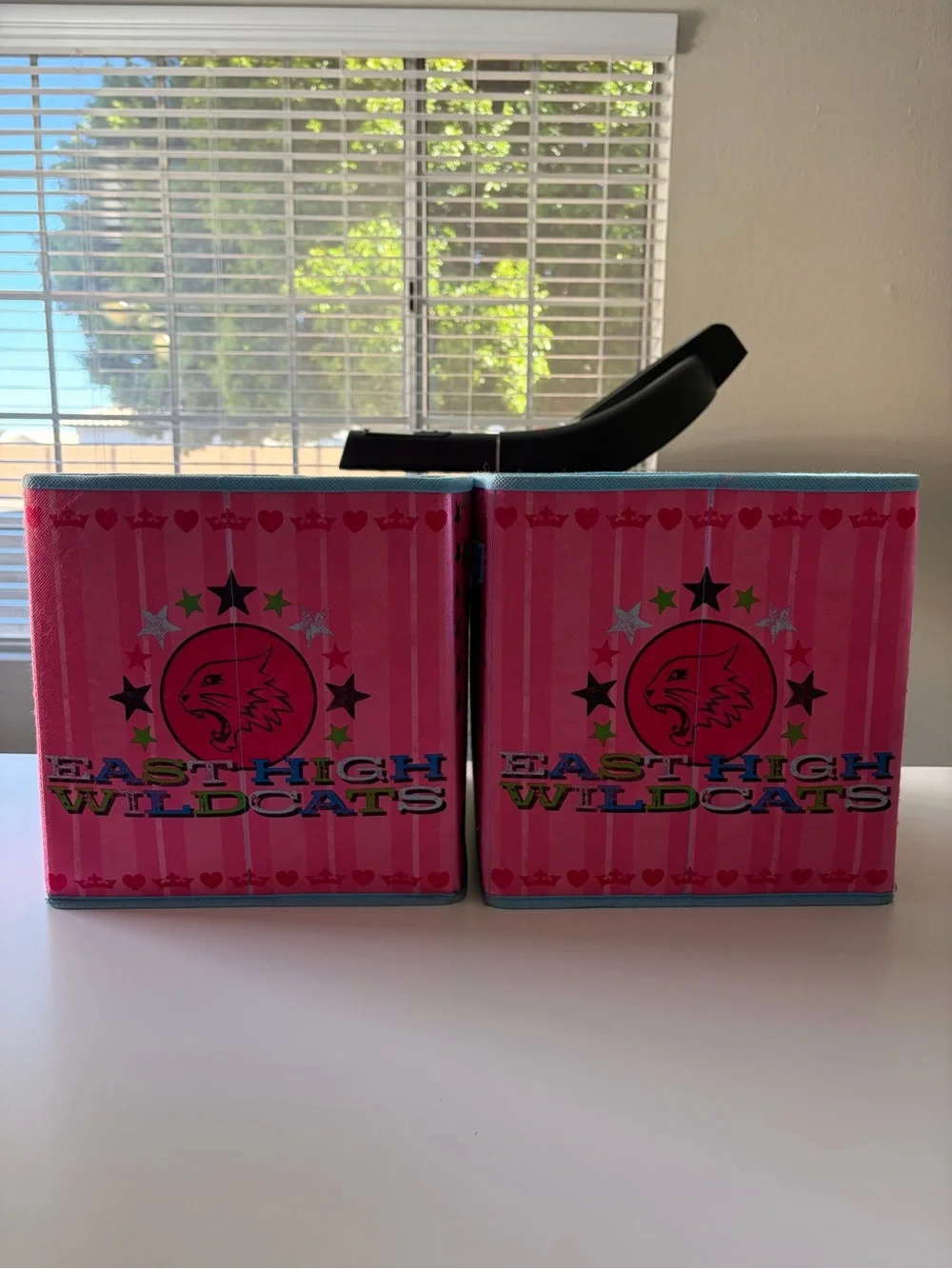 Disney High School Musical Pink Fabric Drawer Cube Storage Bins Set of 2
